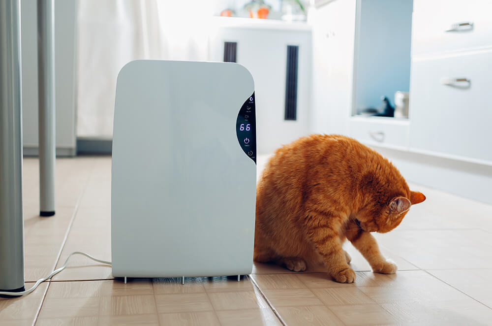 The Start-Up Ultimate Guide to Make Your WordPress Journal.